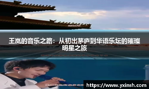 王岚的音乐之路：从初出茅庐到华语乐坛的璀璨明星之旅